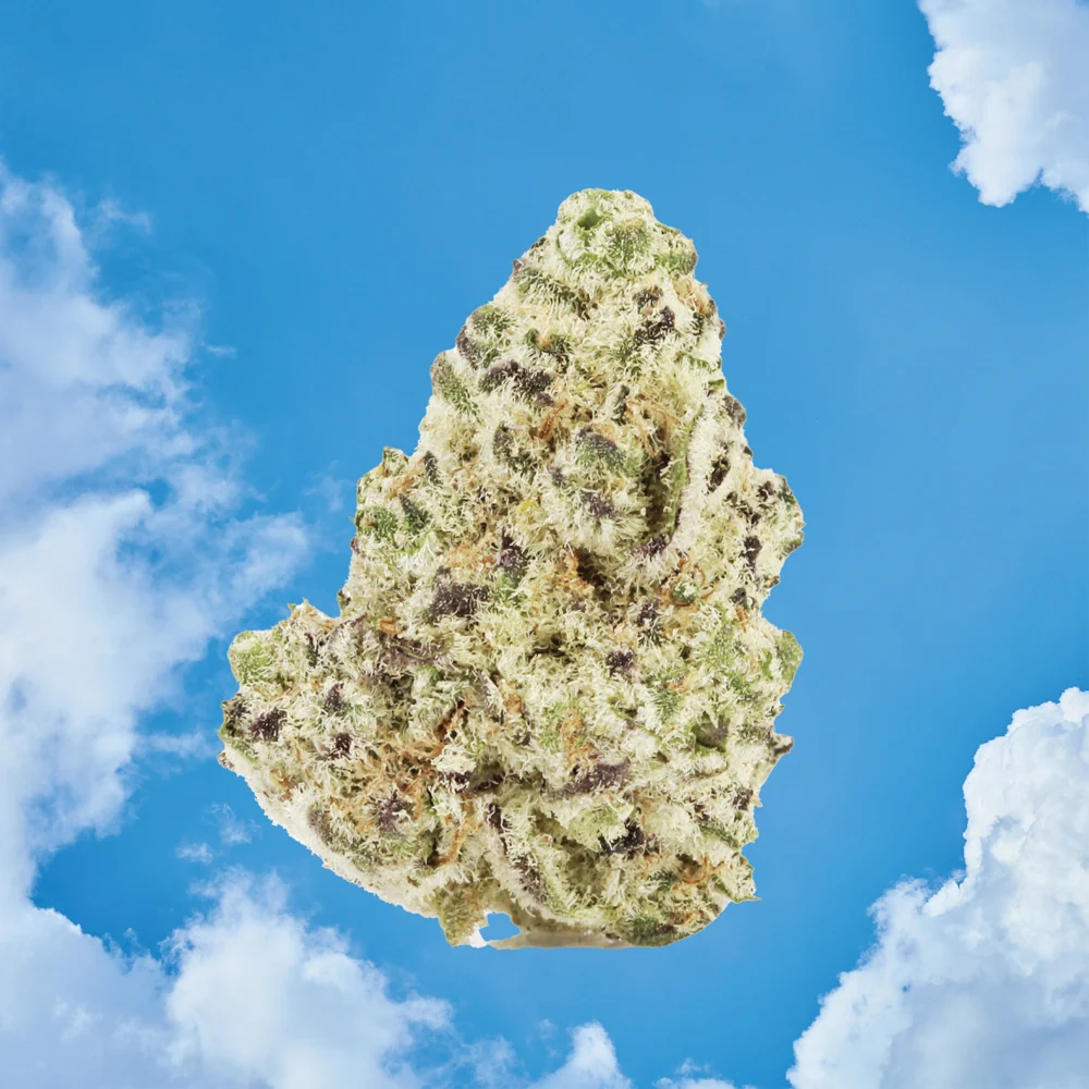 First Class Exotic THCA Flower - Image 4