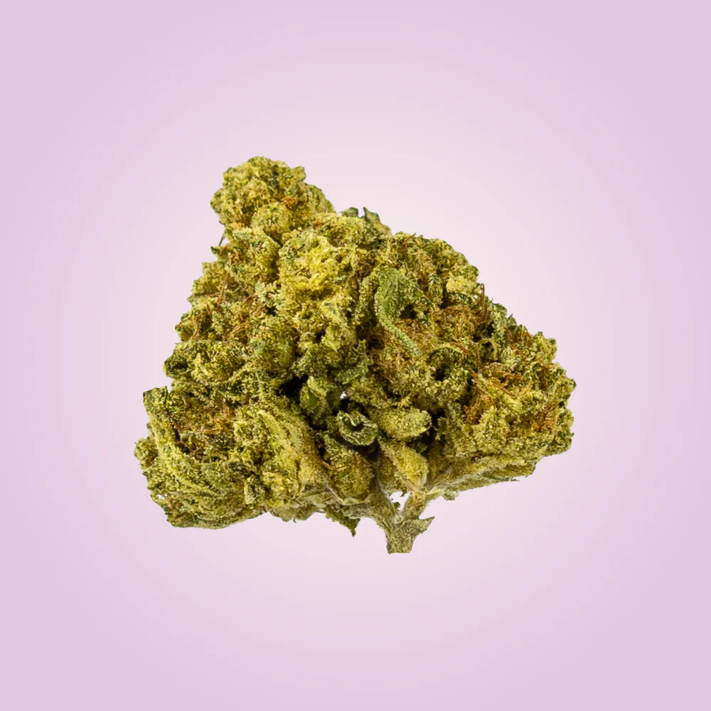 Premium Economy THCA Flower - Image 4